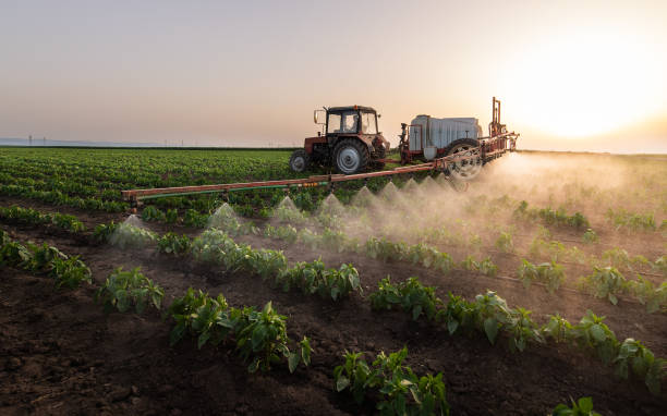 Best Pest Prevention Services  in Donna, TX