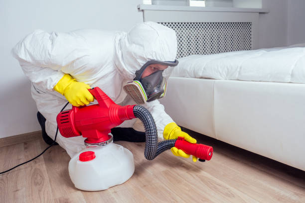 Best Local Pest Control Services  in Donna, TX