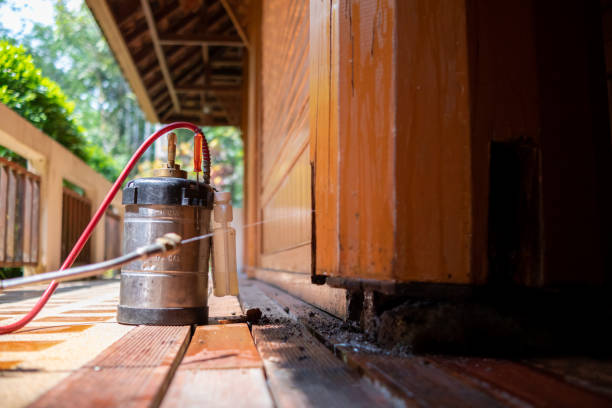 Best Termite Control Services  in Donna, TX