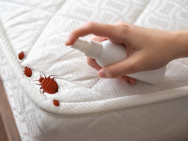 Donna, TX Pest Control Company