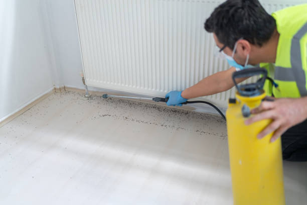 Best Residential Pest Control  in Donna, TX