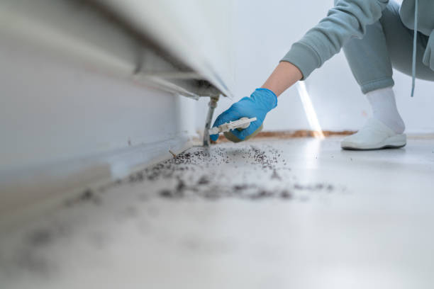 Best Commercial Pest Control Services  in Donna, TX